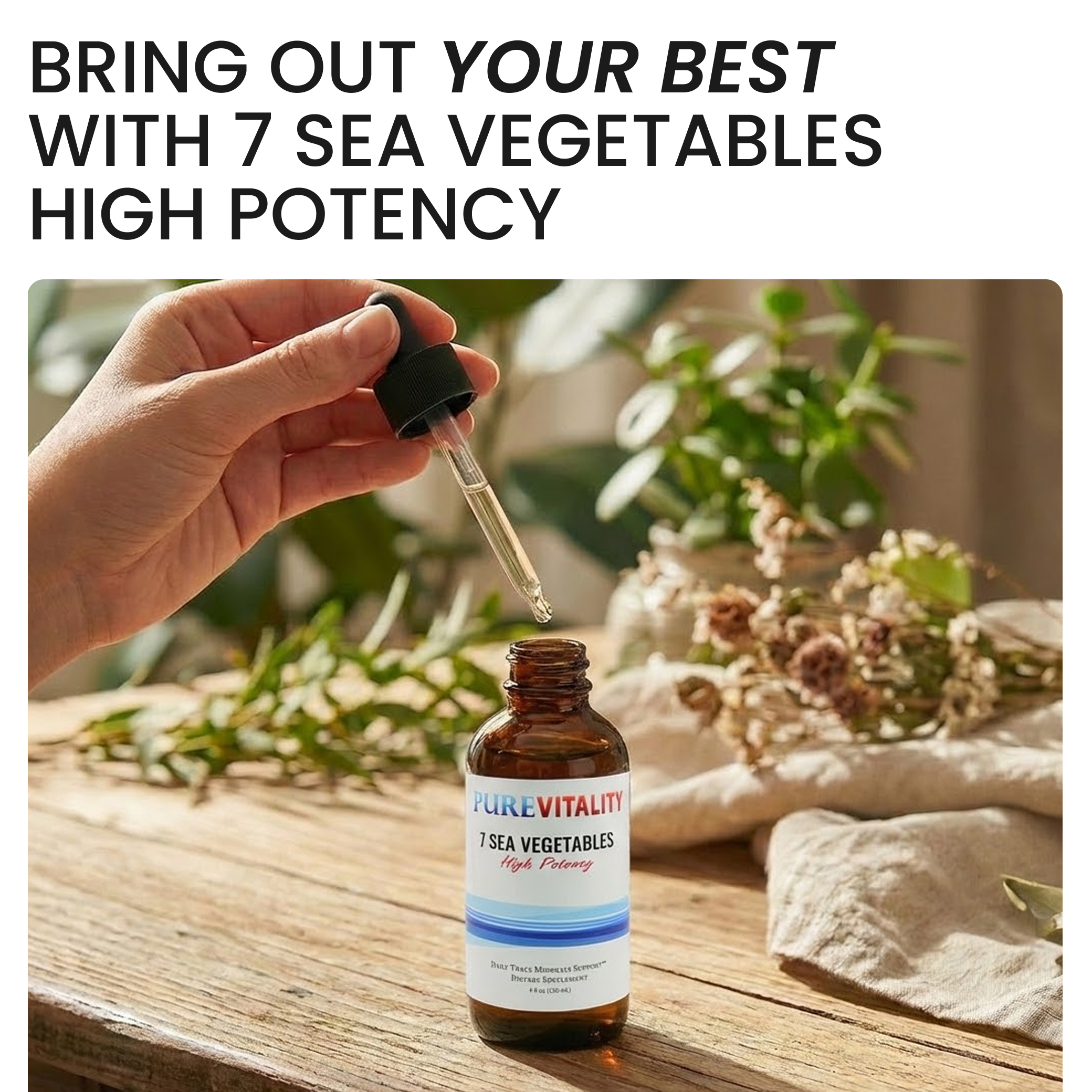 PURE VITALITY 7 Sea Vegetables