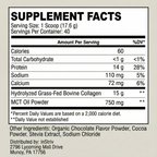 inStriv Collagen Protein Shake — Chocolate